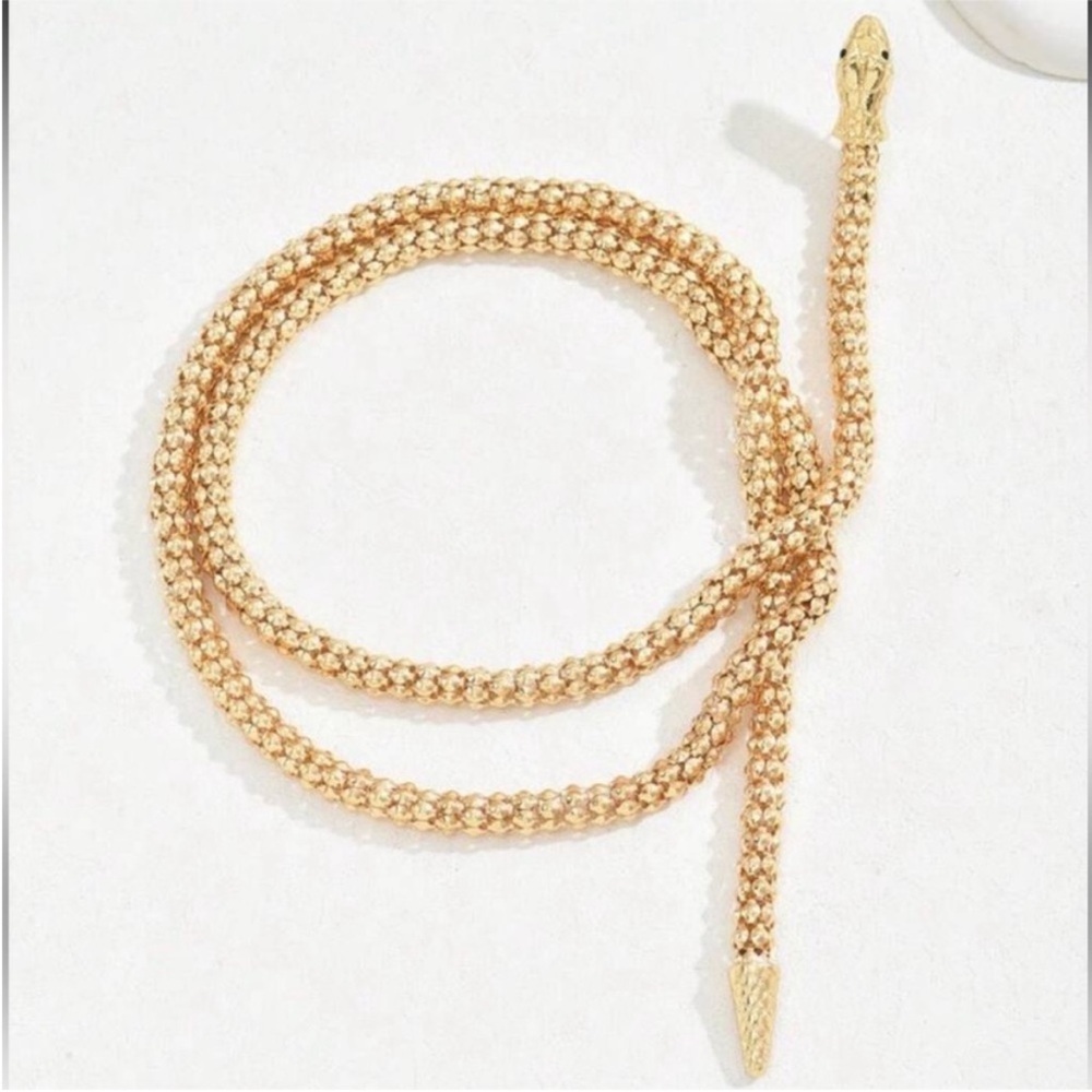 Serpanti Retro Punk Snake Chain
Necklace & Earring Set - Picture 3 of 5